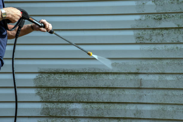 Best Vinyl Siding Pressure Washing in Elsmere, DE