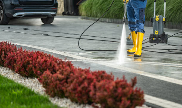 Best Sidewalk and Walkway Pressure Cleaning in Elsmere, DE